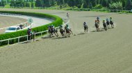 Solemn events in honor of the National holiday of the Turkmen horse were held in Ashgabat