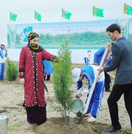  Photo story: Over 1 million 604 thousand trees planted in Turkmenistan