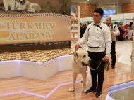 Photo report: Ashgabat International Book Fair