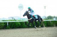 Photo report: Autumn horse racing season begins in Turkmenistan