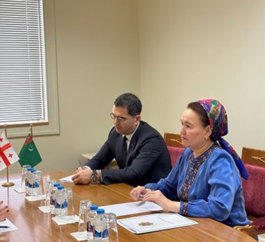 The Offices of the Ombudsman of Turkmenistan and Georgia exchanged experience