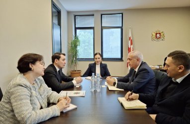 Türkmenistanyň ilçisi Gruziýanyň medeniýet ministriniň orunbasary bilen duşuşdy