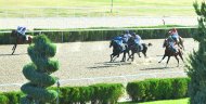 Photoreport: Horse racing was held in Ashgabat in honor of the Harvest Festival