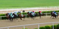 Photo report: Festive horse racing in honor of Independence Day was held in Turkmenistan