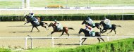 Photoreport: Horse racing was held in Ashgabat in honor of the Harvest Festival