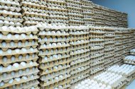 Photo report: A new poultry complex opened in Akhal velayat