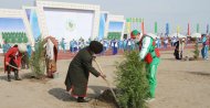 Photos: Tree planting campaign was held in Turkmenistan