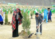  Photo story: Over 1 million 604 thousand trees planted in Turkmenistan