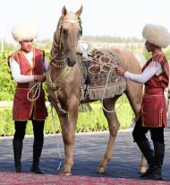 “Ýylyň iň owadan ahalteke bedewi” atly halkara gözellik bäsleşiginiň ýeňijilerini sylaglamak dabarasyndan fotoreportaž