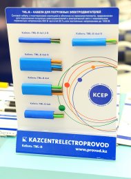 Фоторепортаж: Международная выставка «Нефть и газ Туркменистана-2017»