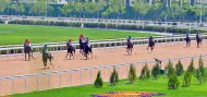 Photoreport: The best rider-mentor was awarded a valuable prize from the President of Turkmenistan