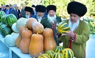 Fotoreportaž: Türkmenistanda Hasyl toýy giňden bellenildi