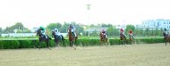 Photo report: Autumn horse racing season begins in Turkmenistan