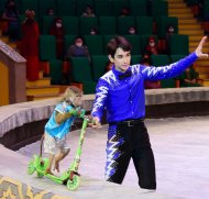 The State Circus of Turkmenistan hosted a performance in honor of the national holiday of the Turkmen horse