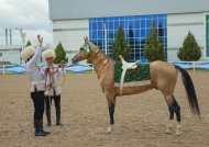 Ahal-Teke horse beauty contest was held in Turkmenistan