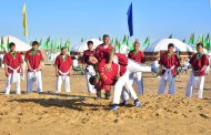 Photoreport: National tree celebrations held in Turkmenistan