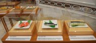 Photoreport: An exhibition of Japanese cuisine “I love sushi” was held in Turkmenistan