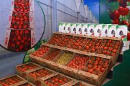 Photo report from the international exhibition “Agro-Pak Turkmenistan-2023”