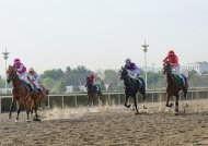 Spring racing season starts in Turkmenistan