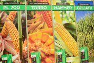 Fotoröportaj: Agro Pack Türkmenistan ve Türkmen Gıda Fuarı Aşkabat'ta başladı