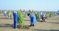 Фоторепортаж: В Туркменистане дан старт весенней озеленительной кампании