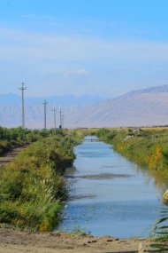 Turkmen photographers take part in the photo contest 