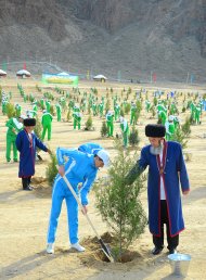  Photo story: Over 1 million 604 thousand trees planted in Turkmenistan