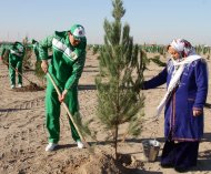 Photoreport: a nationwide tree planting campaign was held in Turkmenistan