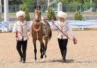 The second round of the international beauty contest of Akhal-Teke horses took place in Ashgabat