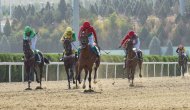 Festive races were held in Turkmenistan