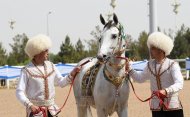 В Ашхабаде состоялся второй тур международного конкурса красоты ахалтекинских скакунов