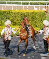 Photo report: Turkmenistan celebrates the National Horse of Turkmenistan on a grand scale