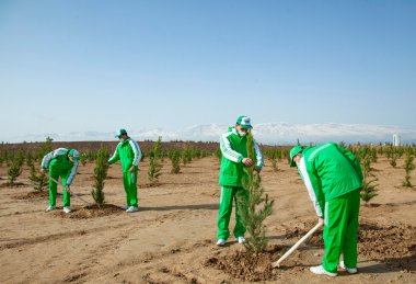 Photos: Tree planting campaign was held in Turkmenistan