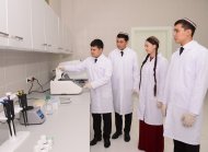 Grand opening of a number of educational institutions took place in the city of Arkadag