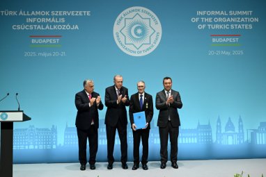 Aziz Sanjar halkara Alyşir Nowaýy baýragyna mynasyp boldy