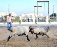 Photoreport: Turkmenistan widely celebrates Kurban Bayram