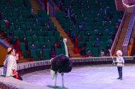 The State Circus of Turkmenistan hosted a performance in honor of the national holiday of the Turkmen horse