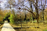 Photoreport: Ashgabat Botanical Garden in February-2021