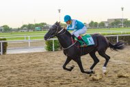 Spring racing season starts in Turkmenistan