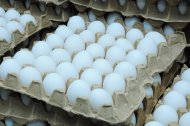 Photo report: A new poultry complex opened in Akhal velayat