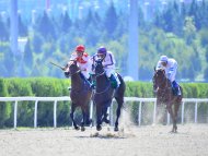 Photo report: Turkmenistan celebrates the National Horse of Turkmenistan on a grand scale