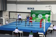 Photo report: Turkmenistan Boxing Cup 2019