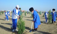 Photoreport: a nationwide tree planting campaign was held in Turkmenistan