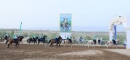 Photoreport: an equestrian marathon took place in the Ak-Bugday district of the Akhal velayat