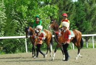 Solemn events in honor of the National holiday of the Turkmen horse were held in Ashgabat