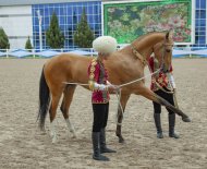 Ahal-Teke horse beauty contest was held in Turkmenistan