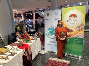 Turkmenistan presents its pavilion at festive festival in the Netherlands