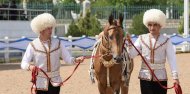 The second round of the international beauty contest of Akhal-Teke horses took place in Ashgabat