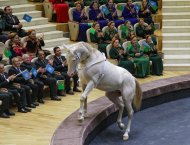 Photo report: The equestrian group 