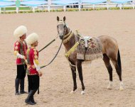 Photoreport from the international beauty contest on the occasion of the national day of the Turkmen horse